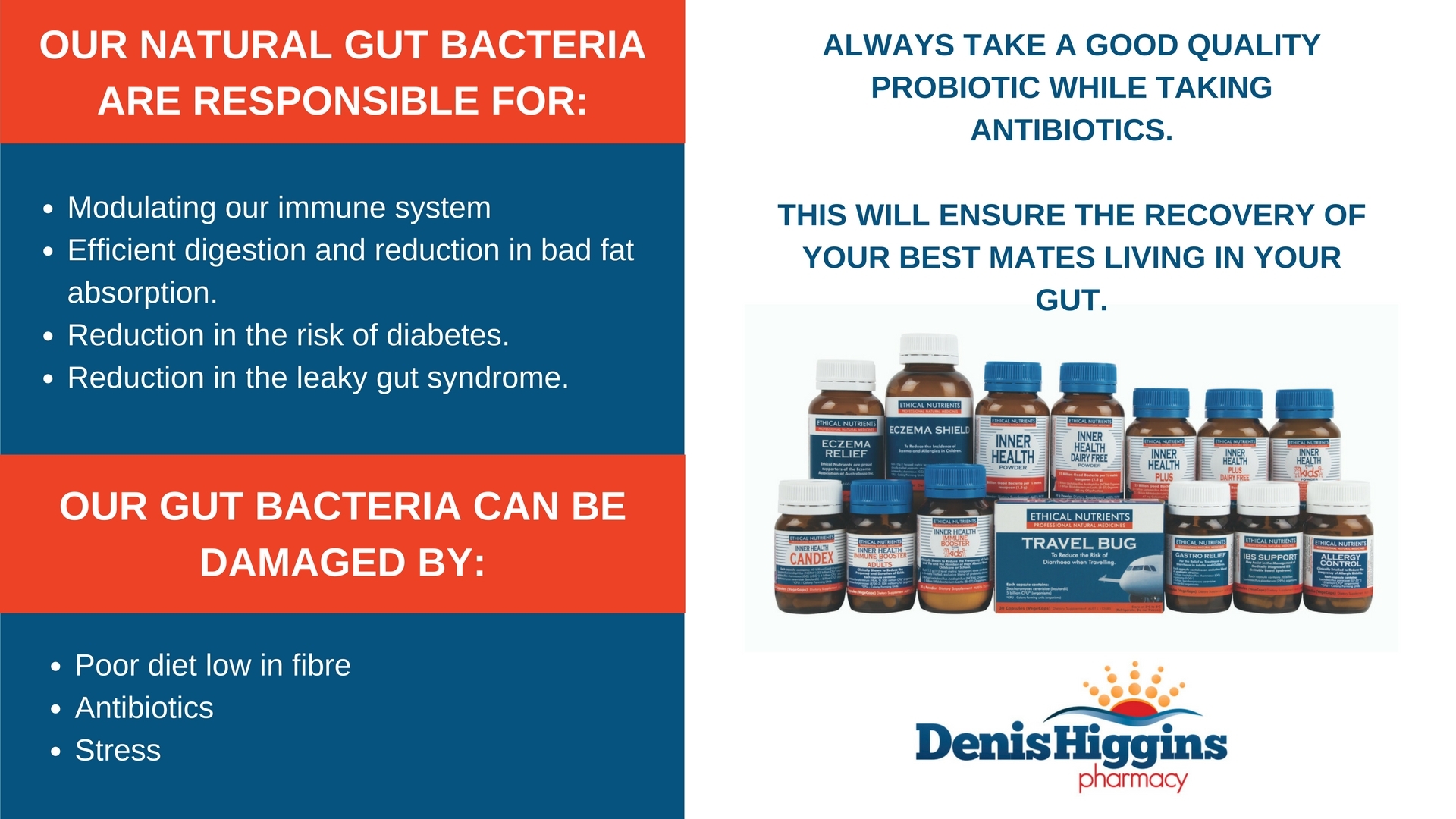 • Modulating our immune system• Efficient digestion and reduction in bad fat absorption.• Reduction in the risk of diabetes.• Reduction in the leaky gut syndrome.